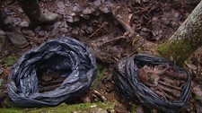 Levninger av soldater i Estland (Foto: Bengt Kristiansen/NRK)