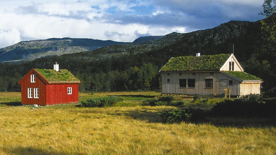 Idyllisk stølsterreng ved Bleskestadmoen