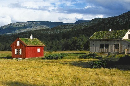 Idyllisk stølsterreng ved Bleskestadmoen