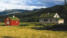 Idyllisk stølsterreng ved Bleskestadmoen