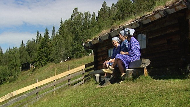 Budeie og hjelperne på setra (Foto: Øystein Økter/NRK) Budeie og hjelperne på setra (Foto: Øystein Økter/NRK)