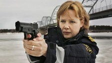 Höök  (Foto: SVT)