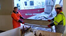 Myre fiskemottak (Foto: Stein Inge Pedersen/NRK) Myre fiskemottak (Foto: Stein Inge Pedersen/NRK)