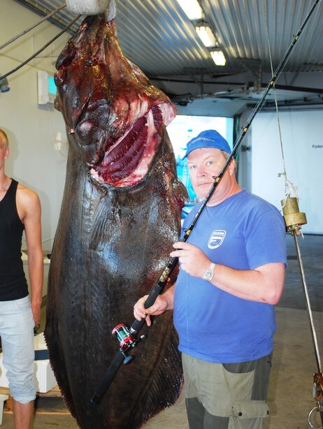 Hans-Olov Nilsson (48) tok kveite på 212 kilo (Foto: Arild Juul)