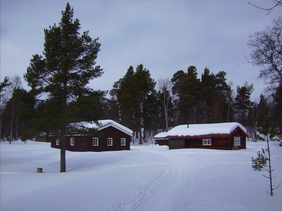Røvollen