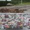 Blomstrar frå rettsaka. 