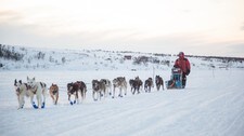 Kristoffersen (Foto: Jørn Losvar/Finnmarksløpet)