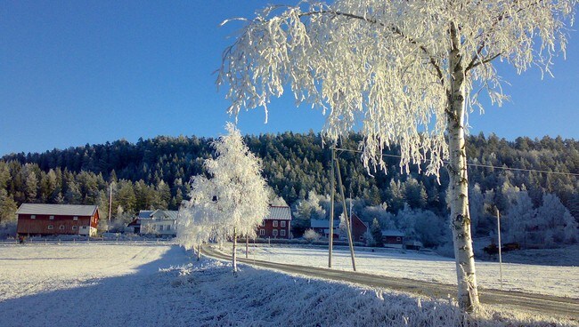 Vinter (Foto: Svein Sundsdal/NRK)