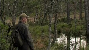 Med elg i linsen og rev bak øret