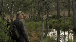 Med elg i linsen og rev bak øret