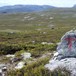 Mellom Svukuriset og Valldal