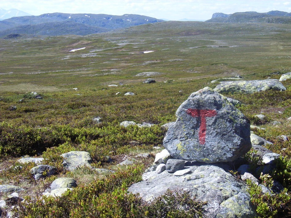 Mellom Svukuriset og Valldal