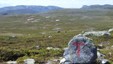 Mellom Svukuriset og Valldal