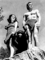 Fra filmene om Tarzan: Maureen Sullivan, Cheeta, Johnny Weissmuller. Fra filmene om Tarzan: Maureen Sullivan, Cheeta, Johnny Weissmuller.