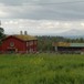 Svukuriset