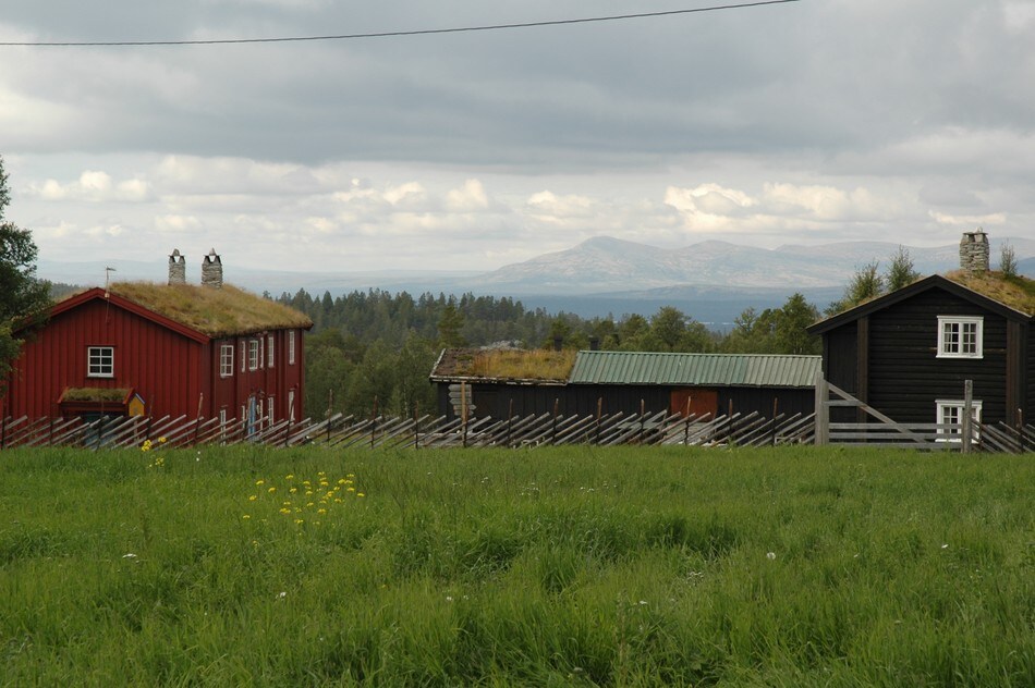 Svukuriset