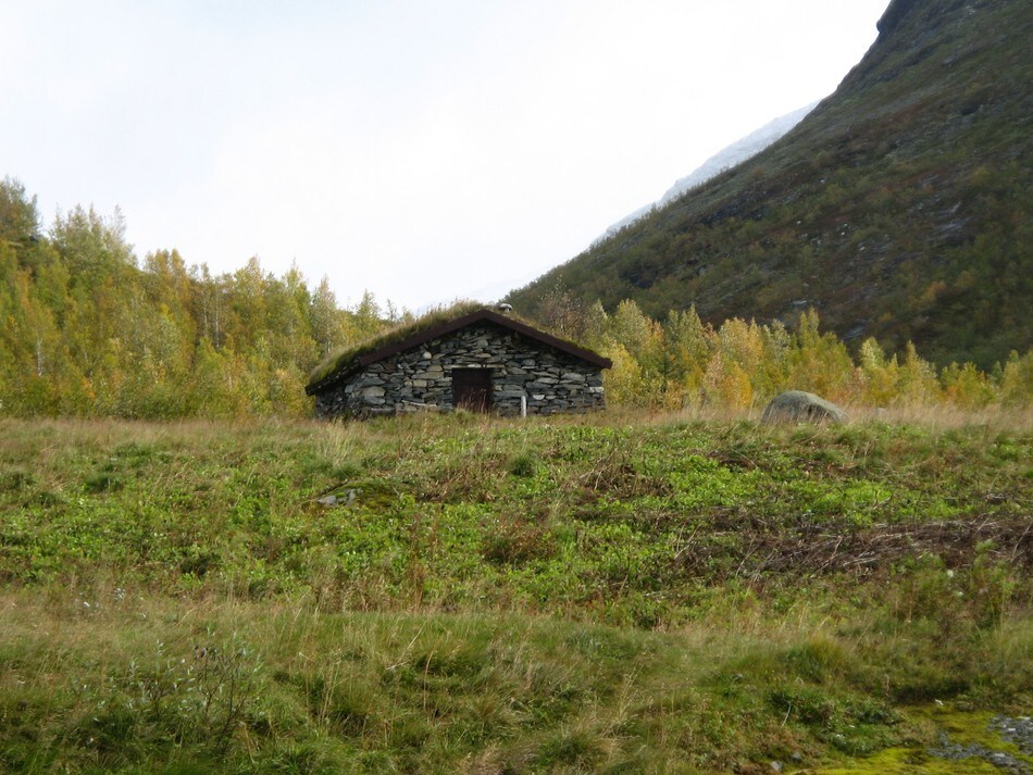 på veien til Skogadalsbøen