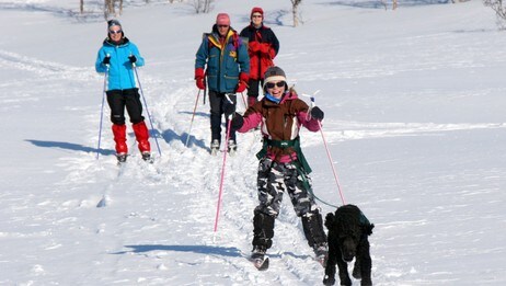Barn på ski (Foto: Trond N. Haave/Den Norske Turistforening) Barn på ski (Foto: Trond N. Haave/Den Norske Turistforening)