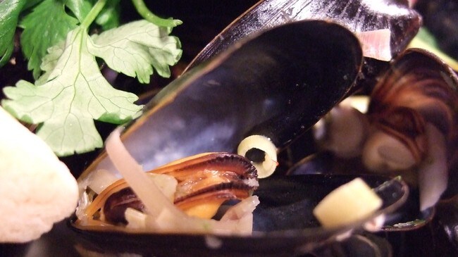Blåskjell (Foto: Pernille Wroldsen/NRK)