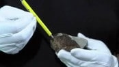 Slik leiter du etter meteorittar - From InfoDispatcher.SingleFileImporter