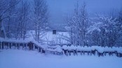 Rogne i Valdres