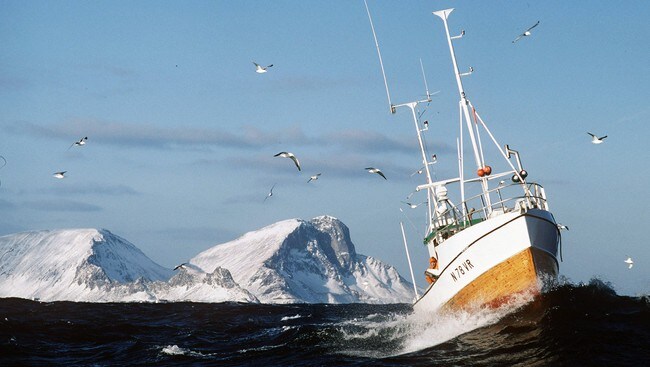 Fiskebåt med Lofotveggen i bakgrunnen (Foto: Hvaal, Morten/SCANPIX)