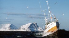 Fiskebåt med Lofotveggen i bakgrunnen (Foto: Hvaal, Morten/SCANPIX) Fiskebåt med Lofotveggen i bakgrunnen (Foto: Hvaal, Morten/SCANPIX)