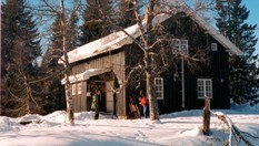 Katnosdammen