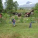 Framme ved Trollheimshytta