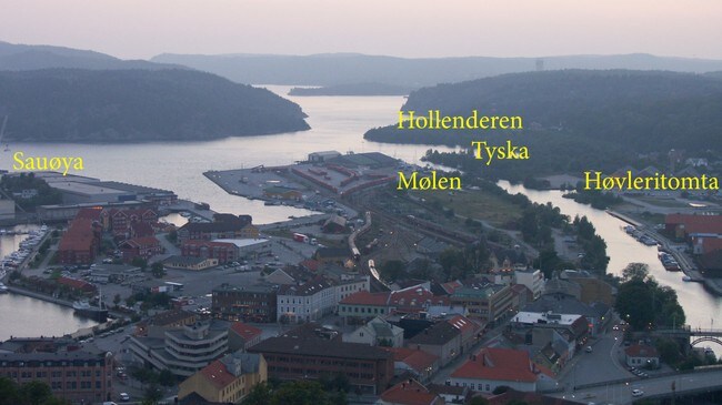 Områdene langs Tista i Halden (Foto:Rainer Prang/NRK) Områdene langs Tista i Halden (Foto:Rainer Prang/NRK)
