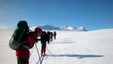 Vide vidder på Saltfjellet