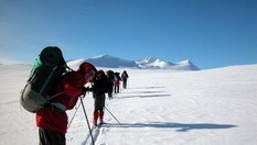Vide vidder på Saltfjellet