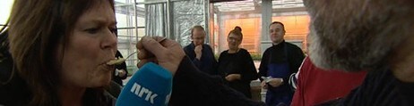 NM i Gardsost (Foto: NRK/NRK)