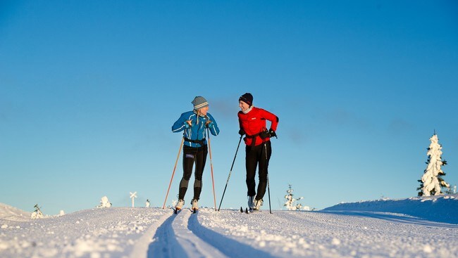 Nydeleg langrennsføre (Foto: Skistar) Nydeleg langrennsføre (Foto: Skistar)