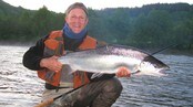 Laksefiske i Gaula (Foto: Gaula Flyfishing - www.fishmaster.fi) Laksefiske i Gaula (Foto: Gaula Flyfishing - www.fishmaster.fi)