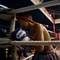 En gutt viser respekt for ringen. Muay Thai har en lang tradisjon i Thailand.