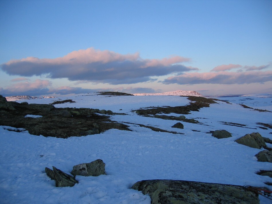 Storkvelvbu