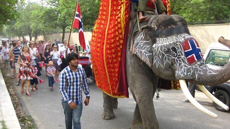Elefanten 'Jumbo' leder 17. mai-toget i New Delhi (Foto: Joar Hoel Larsen/NRK) Elefanten 'Jumbo' leder 17. mai-toget i New Delhi (Foto: Joar Hoel Larsen/NRK)