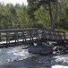 På langtur over til svensk side av Femundsmarka