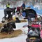 Velorganisert kaos i Kirkenes under Finnmarksløpet 2010 Velorganisert kaos i Kirkenes under Finnmarksløpet 2010