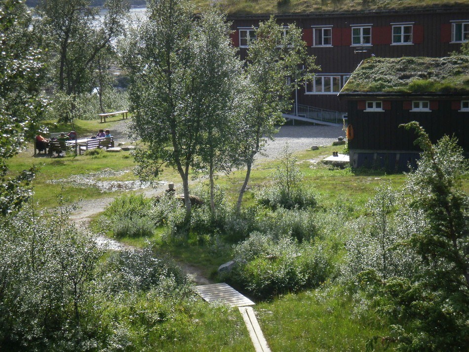 Tunet på Nedalshytta