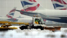 Måker for harde livet i London (Foto: ADRIAN DENNIS/Afp)