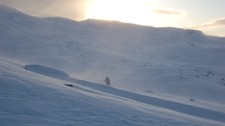 Tur i kuling på Haukelifjell (Foto: Trude Blåsmo/Den Norske Turistforening)