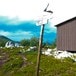 Blåkollkoia