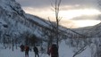 Sulitjelma-Lønsdal 012 - Gjennom fjellskogen mot Trygvebu