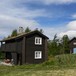 Svukuriset sommer 2008