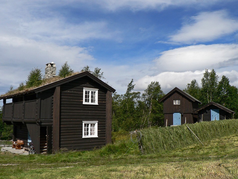 Svukuriset sommer 2008