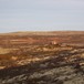 Lyngbua i høstfjellet , 8.11.2011