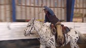 Vill vest i Aurskog Høland - Cowboyhatter, lasso og hester i gallopp. Den andre helgen i mai blir Harkerud hestesenter i Aurskog-Høland til ville vesten når ryttere konkurrerer om å legge en plastikk-kalv i bakken.