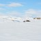 Nord i Skarvheimen, på vei langs kvista løype. 